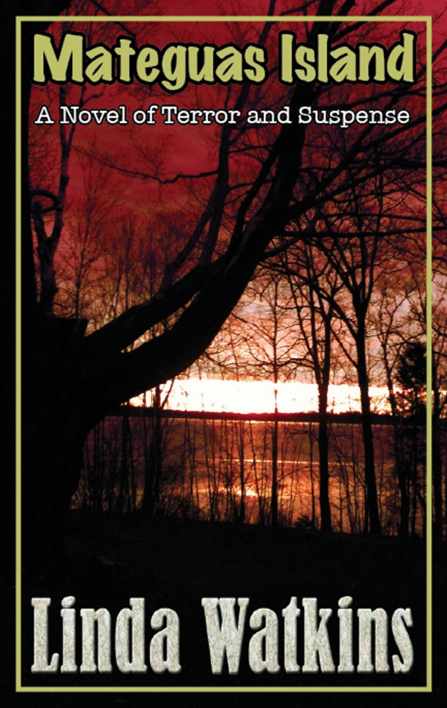 Mateguas Island - Book Cover